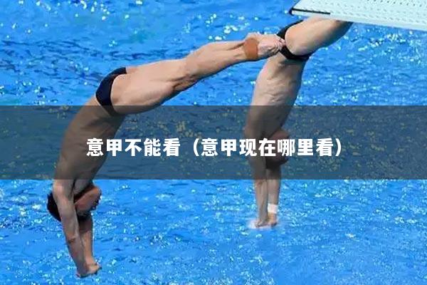 意甲不能看（意甲现在哪里看）