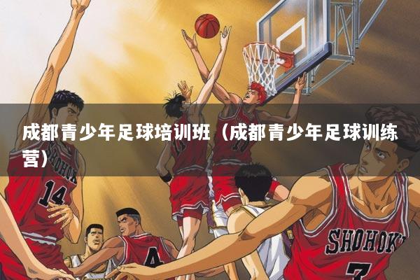 成都青少年足球培训班（成都青少年足球训练营）