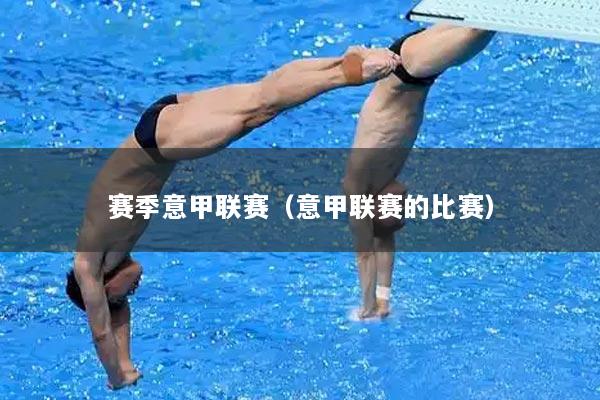 赛季意甲联赛（意甲联赛的比赛）